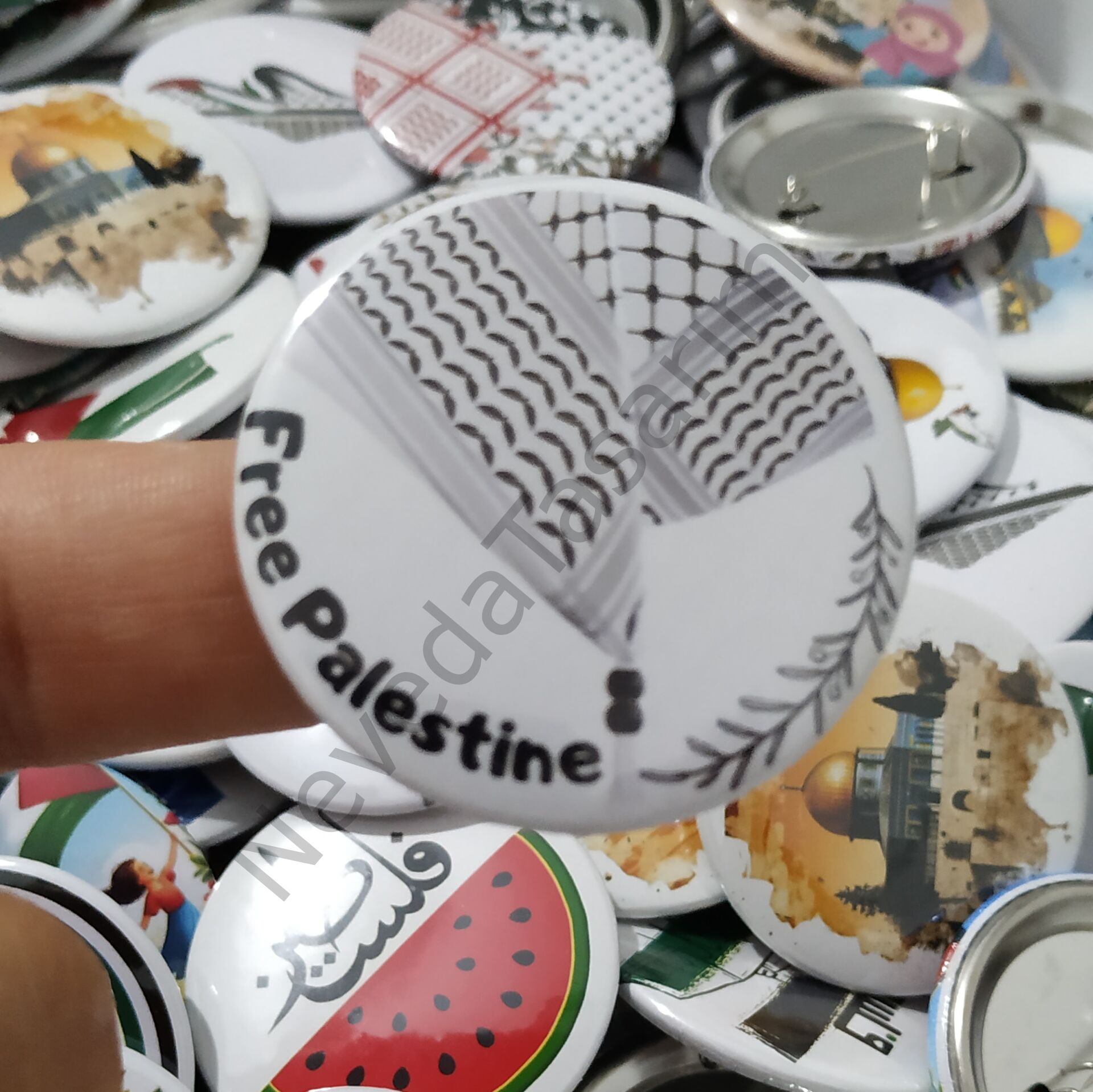 Free Palestina Magnet